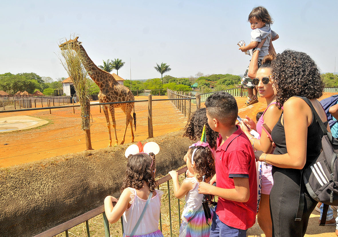 Zoológico de Brasília comemora 68 anos com programação especial e experiência inédita de imersão em aviário